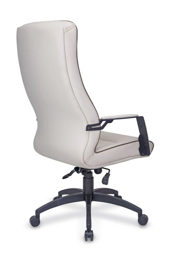 CHERY LAZER MÜDÜR KOLTUĞU