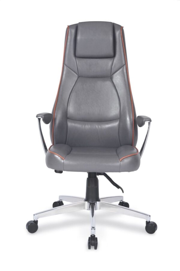 LİVA MÜDÜR KOLTUĞU