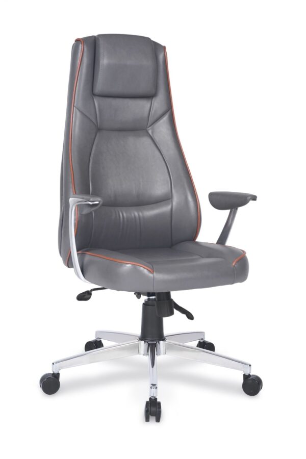 LİVA MÜDÜR KOLTUĞU