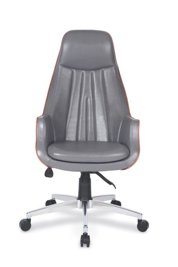 LOFT MÜDÜR KOLTUĞU