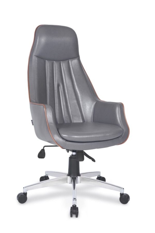 LOFT MÜDÜR KOLTUĞU