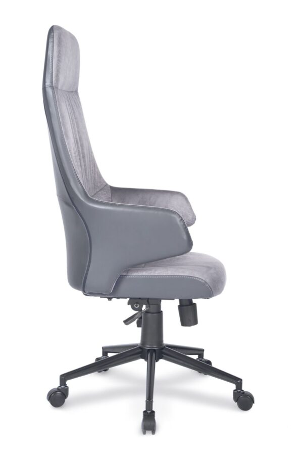 FELİX MÜDÜR KOLTUĞU