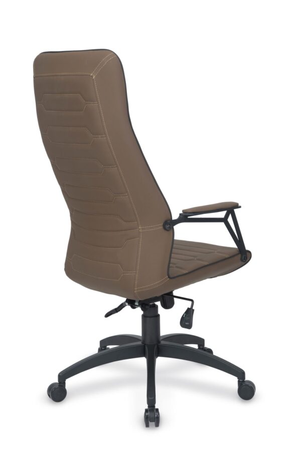 NANO LAZER MÜDÜR KOLTUĞU