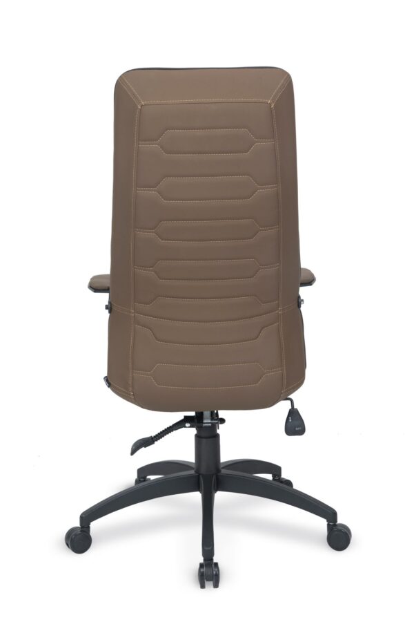 NANO LAZER MÜDÜR KOLTUĞU