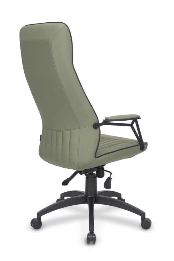 NEXUS MÜDÜR KOLTUĞU