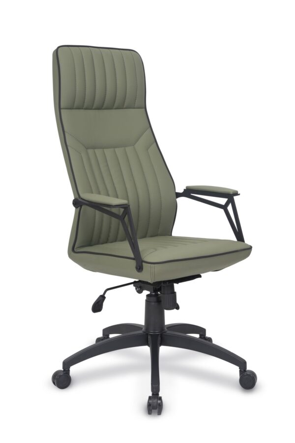 NEXUS MÜDÜR KOLTUĞU