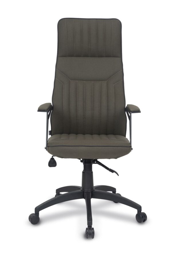 NEXUS MÜDÜR KOLTUĞU