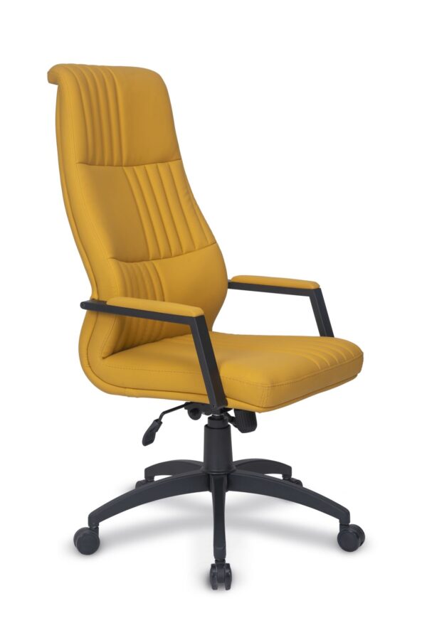 OPPO BOYALI MÜDÜR KOLTUĞU