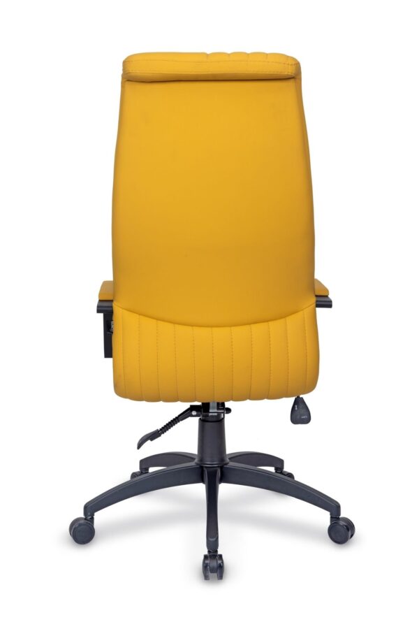 OPPO BOYALI MÜDÜR KOLTUĞU