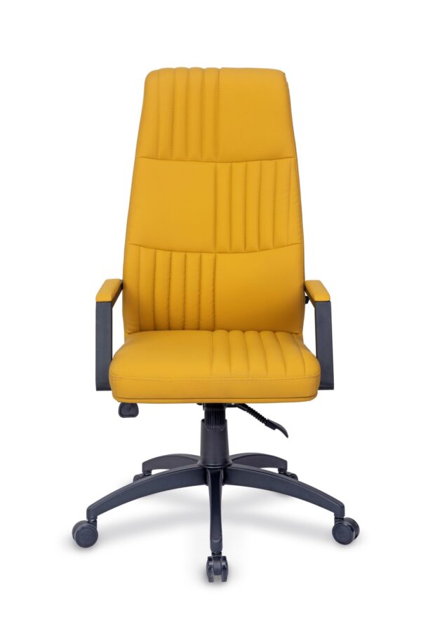 OPPO BOYALI MÜDÜR KOLTUĞU