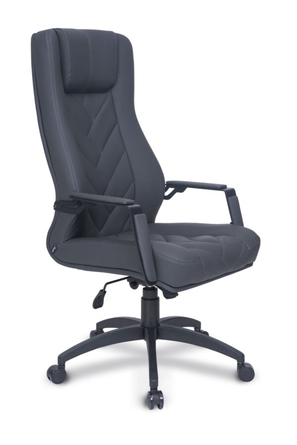 ROYCE LAZER MÜDÜR KOLTUĞU