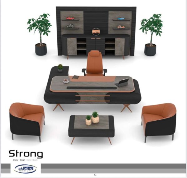 Strong Makam Ofis Takımı