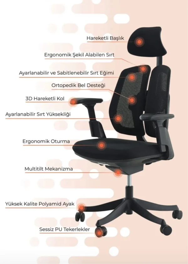 Balance Müdür Koltuğu